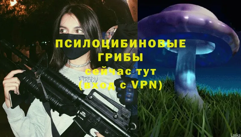 Галлюциногенные грибы Cubensis  Ирбит 